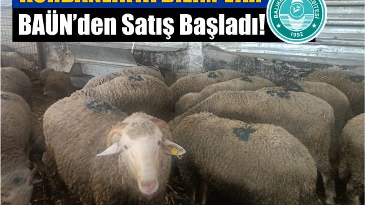 Kurbanlıkta Bilim Var: BAÜN’den Satış Başladı!