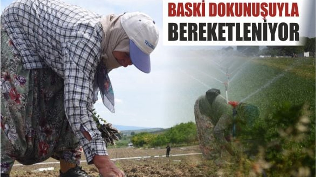 Manyas Ovası, BASKİ dokunuşuyla bereketleniyor