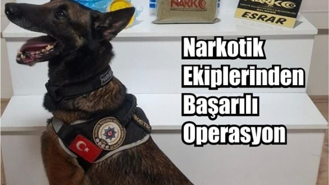 Narkotik Operasyonunda 860 Gram Esrar Ele Geçirildi