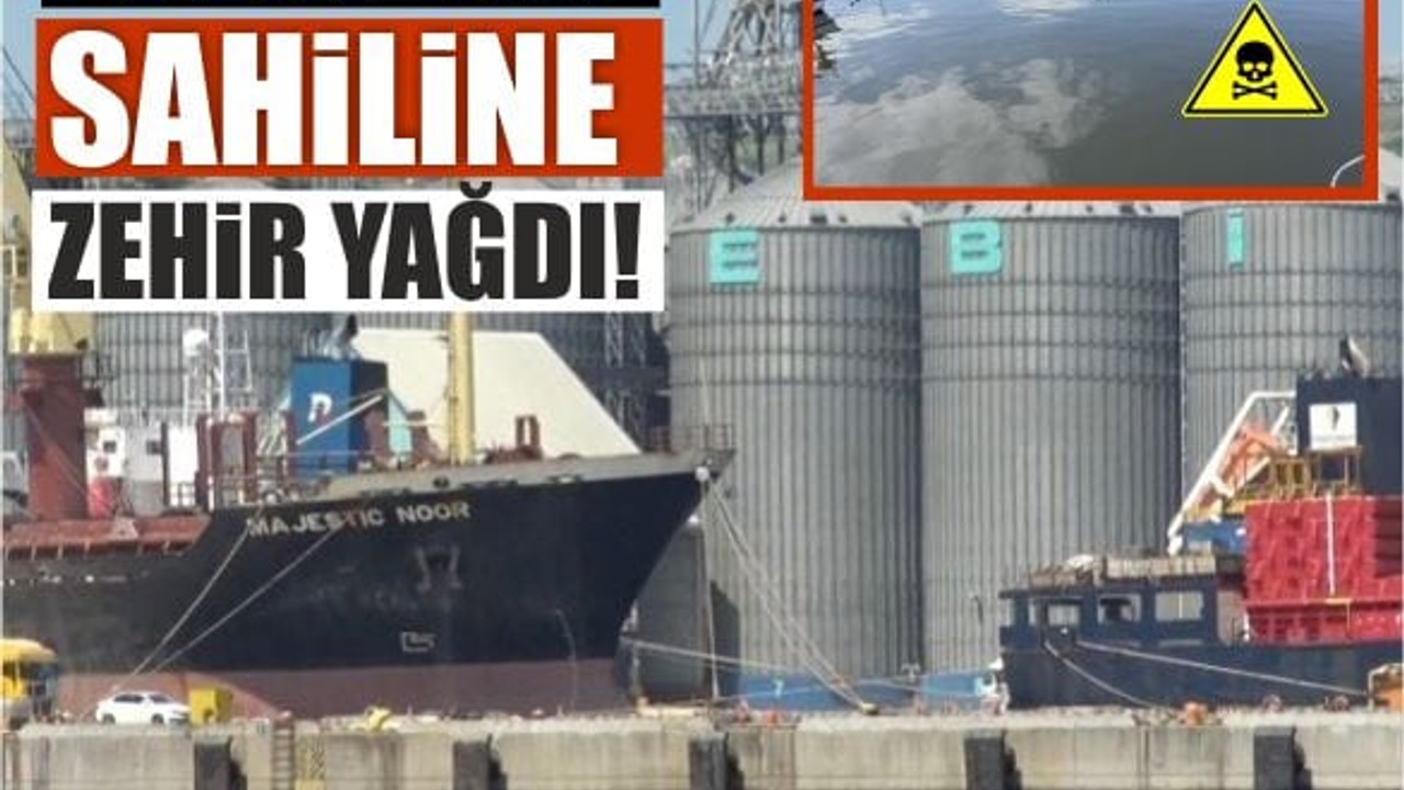 Balıkesir Sahiline Zehir Yağdı!