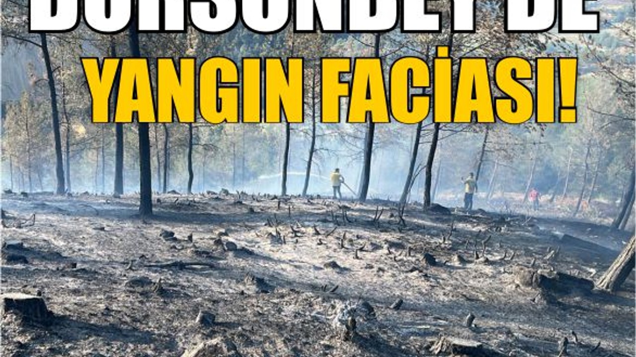 Dursunbey’de Yangın Faciası: Ağaçlar Kül Oldu