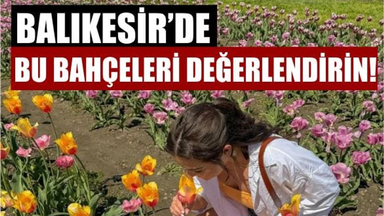 Balıkesir'de Çiçek Toplamak İçin En Güzel Noktalar