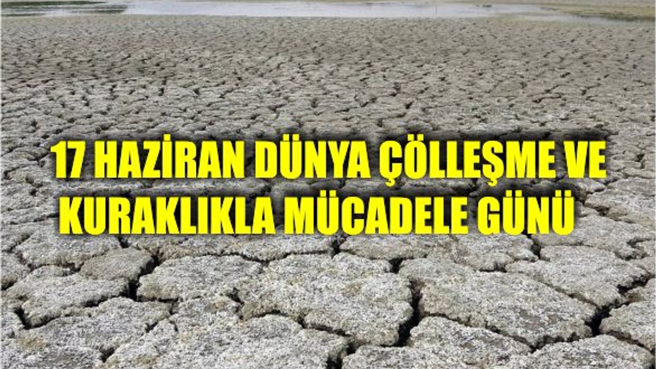 17 Haziran Dünya Çölleşme ve Kuraklıkla Mücadele Günü