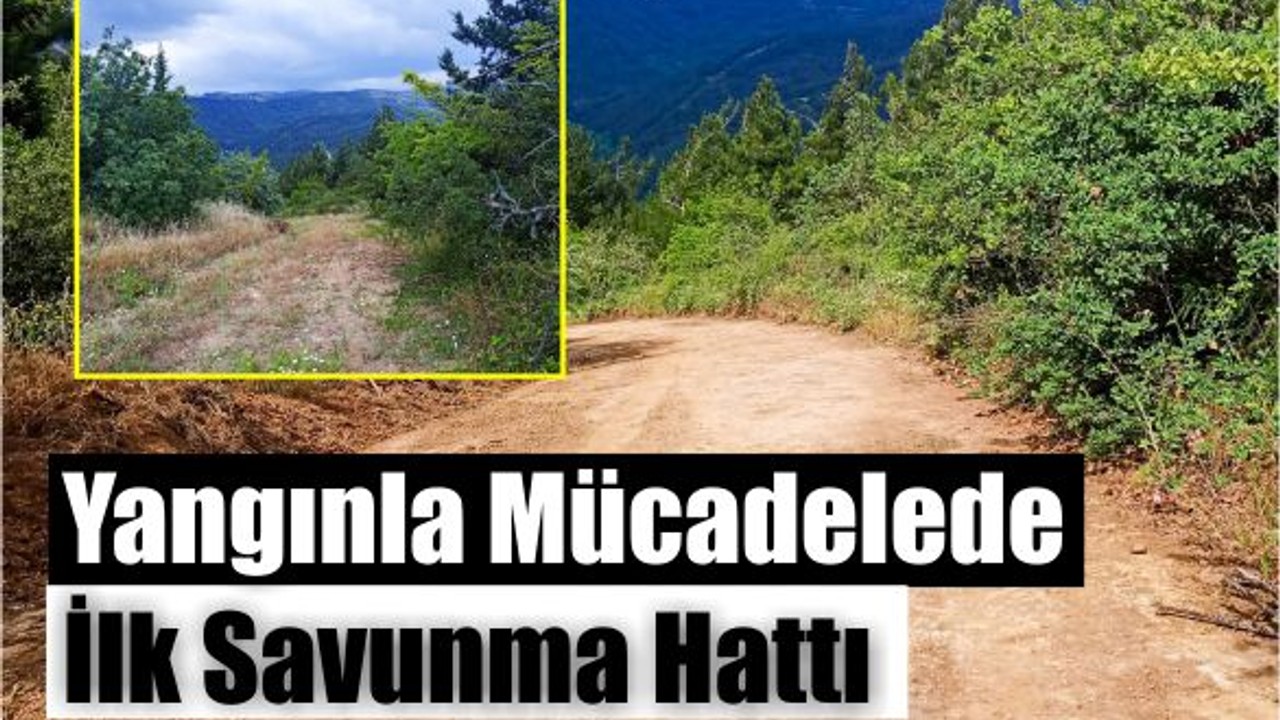 Balıkesir Ormanları İçin Hayati Müdahale