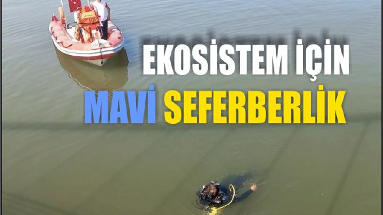 Marmara Denizi’nde Ekosistem İçin Harekete Geçildi