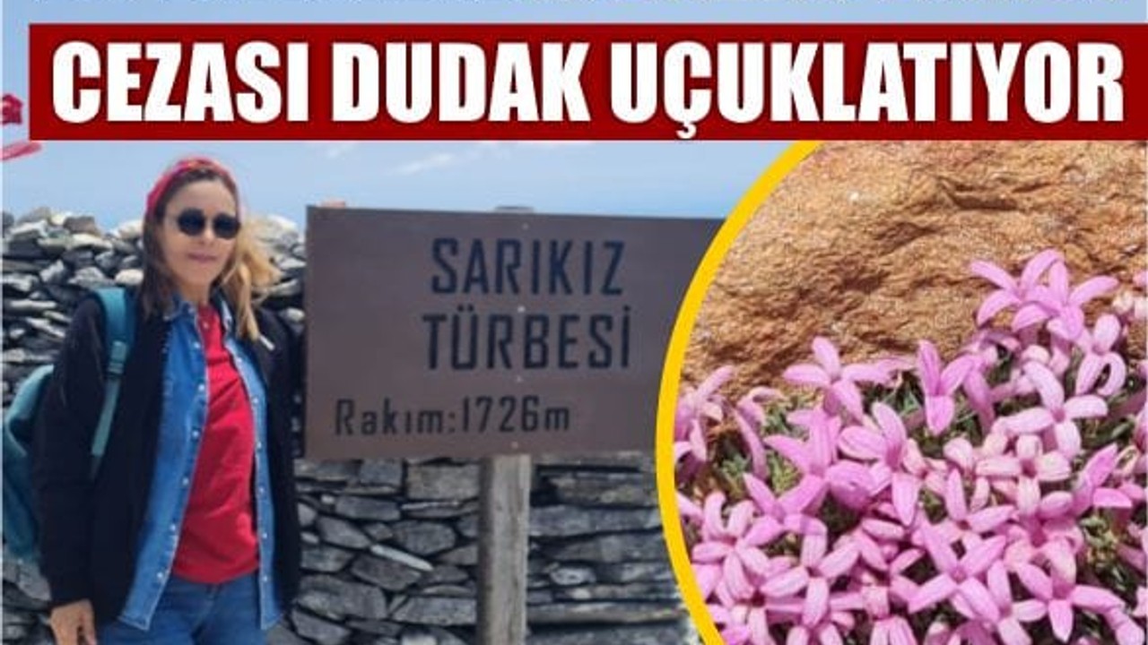 Balıkesir'de Bu Bitkileri Koparmak Yasak!