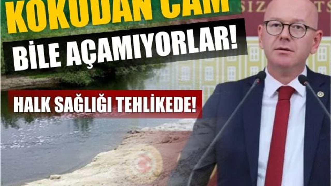 Vekil Sarı’dan Zehir Akan Dereye Tepki
