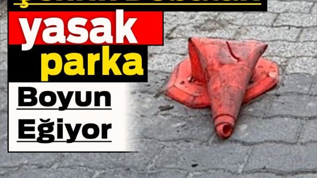 Şehrin Dubaları Yasak Parka Boyun Eğiyor