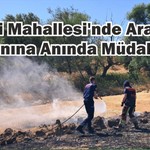 Naipli Mahallesi'nde Arazi Yangını