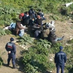 Ayvalık’ta 25 Göçmen Sahil Kenarında Saklanırken Yakalandı