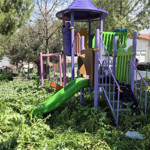 Burhaniye’de Yeşil Alanlarda Bahar Düzenlemesi Başladı