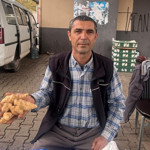 Balıkesir'de Sağlık Dostu Yer Elması Tezgahta