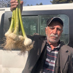 30 Yıllık Üreticiden Sarımsak Mesajı: "O Bir Doktordur!"