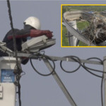 UEDAŞ’ın Arıza Müdahalesinde Dikkat Çeken Detay Ortaya Çıktı