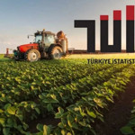 Tarım GFE Şubat 2026’da %31,55 Arttı