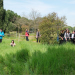 Hemşire Adaylarından Acil Müdahale Rallisi