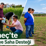 Gömeç’te Tarlalarda Yakın Takip