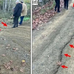 Balıkesir'deki 6.1 büyüklüğündeki depremle ilgili yeni tespit!