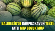 Balıkesir'de Karpuz Kavun Testi: Tatlı Mı? Bozuk Mu?