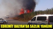Edremit Dalyan’da Sazlık Yangını Korkuttu