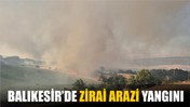 Balıkesir’de Zirai Arazi Yangını: Susurluk ve Bigadiç’te Ekipler Seferber Oldu