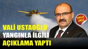 Balıkesir Valisi İsmail Ustaoğlu Yangına İlişkin Açıklama Yaptı
