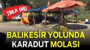 Yolu Balıkesir’den Geçen Karadut Suyuna Hayran Kalıyor