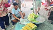 Yaz Mevsiminin Vazgeçilmezi Mısır Tezgâhlarda Yerini Aldı