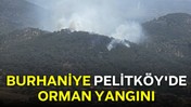 Burhaniye Pelitköy'de Orman Yangını