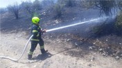 Savaştepe’de Orman Yangını: 10 Hektar Alan Zarar Gördü