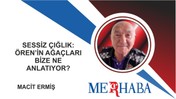Sessiz Çığlık: Ören’in Ağaçları Bize Ne Anlatıyor?