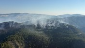 Balıkesir'de çıkan orman yangınına müdahale ediliyor