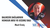 Balıkesir Dağlarının Hongur Arısı ve Gizemli Balı