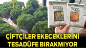 Balıkesir'de Çiftçiler Ekeceklerini Tesadüfe Bırakmıyor