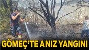 Gömeç’te Anız Yangını Korkuttu
