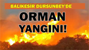 Dursunbey’de Ormanlık Alan Alevlere Teslim