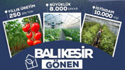 Tarım ve Orman Bakanlığı duyurdu: Balıkesir'de 2026'da yatırımcıya açılıyor