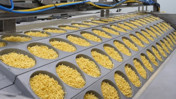 Türkiye'deki o noodle fabrikasını Japon şirket satın aldı