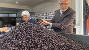 Her 6 sofralık zeytinden birini Balıkesir üretecek