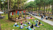 Bandırma Sağlıklı Yaşam Festivali Başlıyor!
