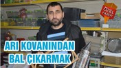 ARI KOVANINDAN BAL ÇIKARMAK