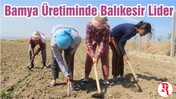 Bamya Üretiminde Balıkesir Lider