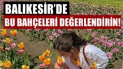 Balıkesir'de Çiçek Toplamak İçin En Güzel Noktalar