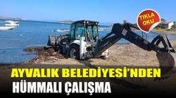 Ayvalık Belediyesi’nden Hümmalı Çalışma