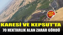Karesi ve Kepsut’taki Yangınlarda 70 Hektarlık Alan Zarar Gördü