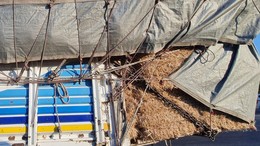 Saman Yüklü Kamyon Trafikte Tehlike Saçtı