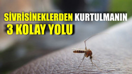 Sivrisineklerden Kurtulmanın 3 Kolay Yolu