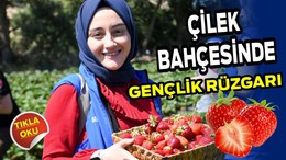 Çilek Bahçesinde Gençlik Rüzgarı