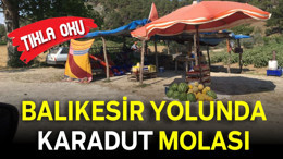 Yolu Balıkesir’den Geçen Karadut Suyuna Hayran Kalıyor