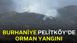 Burhaniye Pelitköy'de Orman Yangını